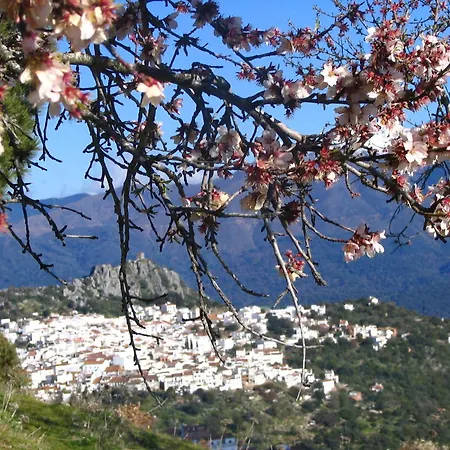 Hotel La Fructuosa